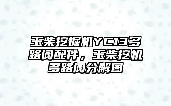 玉柴挖掘機YC13多路閥配件，玉柴挖機多路閥分解圖