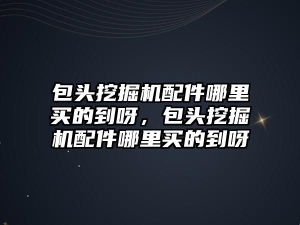 包頭挖掘機配件哪里買的到呀，包頭挖掘機配件哪里買的到呀