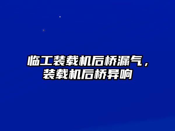 臨工裝載機后橋漏氣，裝載機后橋異響