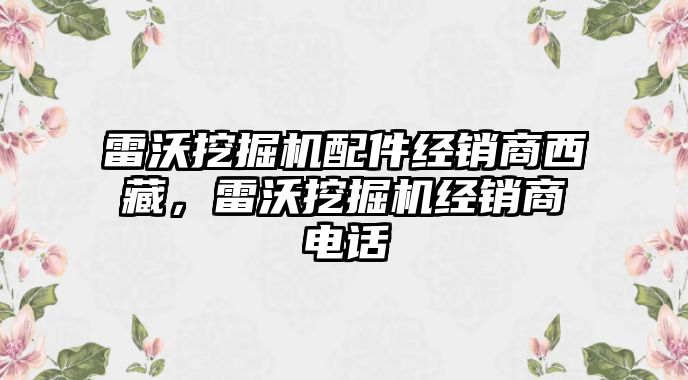 雷沃挖掘機配件經銷商西藏，雷沃挖掘機經銷商電話