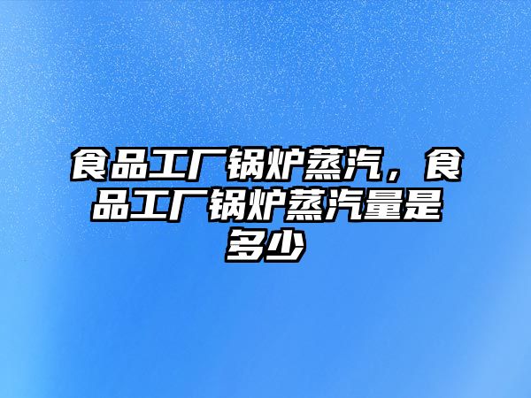 食品工廠鍋爐蒸汽，食品工廠鍋爐蒸汽量是多少