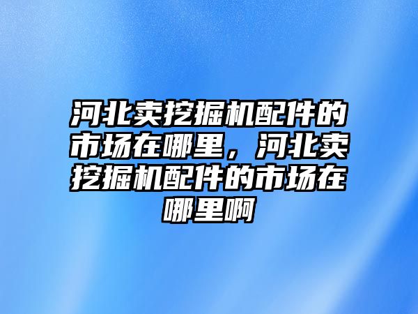 河北賣挖掘機(jī)配件的市場在哪里，河北賣挖掘機(jī)配件的市場在哪里啊