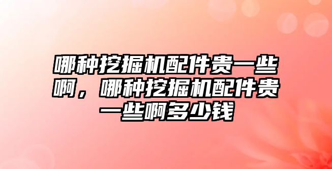 哪種挖掘機配件貴一些啊，哪種挖掘機配件貴一些啊多少錢