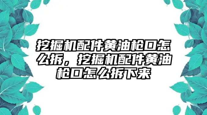 挖掘機配件黃油槍口怎么拆，挖掘機配件黃油槍口怎么拆下來