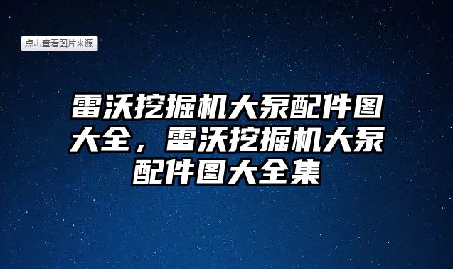 雷沃挖掘機大泵配件圖大全，雷沃挖掘機大泵配件圖大全集