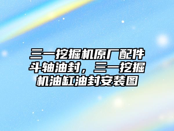 三一挖掘機原廠配件斗軸油封，三一挖掘機油缸油封安裝圖