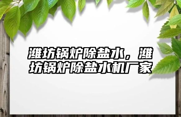 濰坊鍋爐除鹽水，濰坊鍋爐除鹽水機廠家