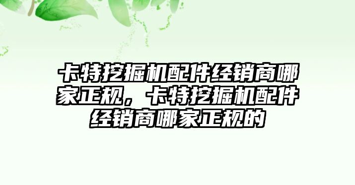 卡特挖掘機配件經銷商哪家正規，卡特挖掘機配件經銷商哪家正規的