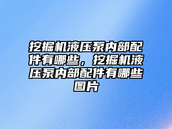 挖掘機液壓泵內部配件有哪些，挖掘機液壓泵內部配件有哪些圖片