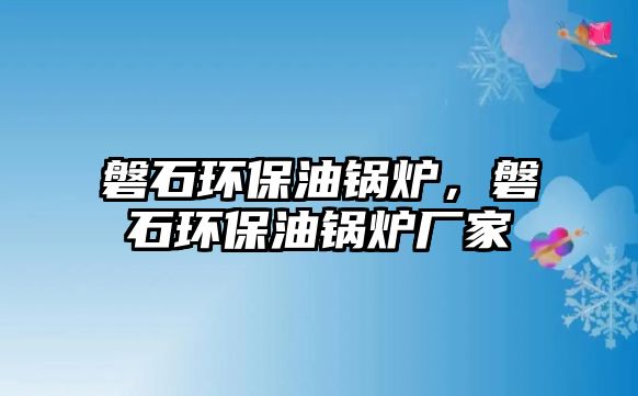 磐石環保油鍋爐，磐石環保油鍋爐廠家