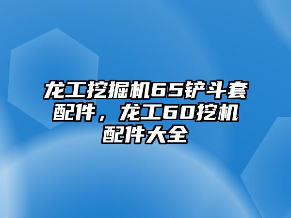 龍工挖掘機65鏟斗套配件，龍工60挖機配件大全