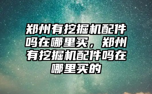 鄭州有挖掘機配件嗎在哪里買，鄭州有挖掘機配件嗎在哪里買的