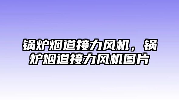 鍋爐煙道接力風機，鍋爐煙道接力風機圖片