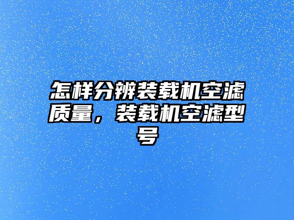 怎樣分辨裝載機空濾質量，裝載機空濾型號