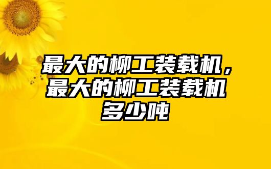 最大的柳工裝載機，最大的柳工裝載機多少噸