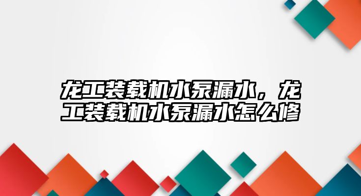 龙工装载机水泵漏水，龙工装载机水泵漏水怎么修