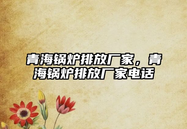 青海鍋爐排放廠家，青海鍋爐排放廠家電話