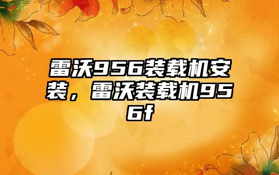 雷沃956裝載機安裝，雷沃裝載機956f