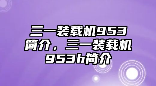 三一裝載機(jī)953簡介，三一裝載機(jī)953h簡介