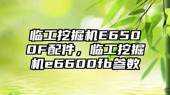 臨工挖掘機E6500F配件，臨工挖掘機e6600fb參數