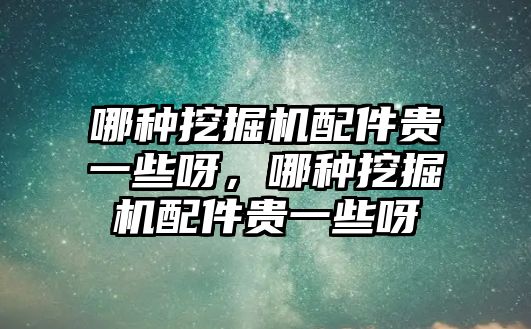 哪種挖掘機配件貴一些呀，哪種挖掘機配件貴一些呀