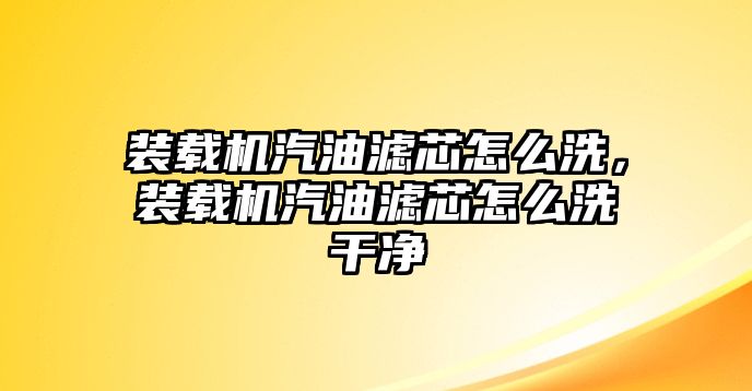 装载机汽油滤芯怎么洗，装载机汽油滤芯怎么洗干净