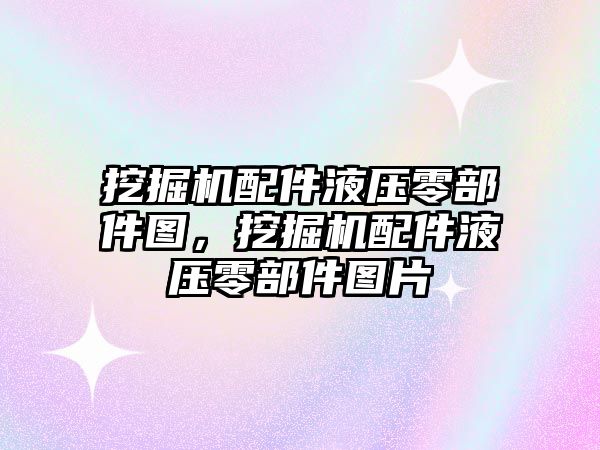 挖掘機配件液壓零部件圖，挖掘機配件液壓零部件圖片