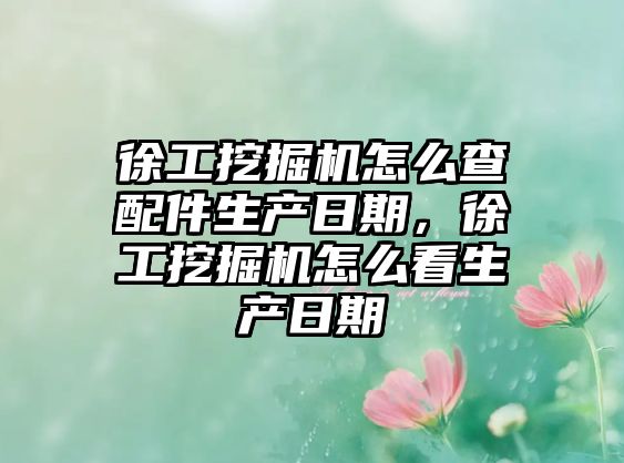 徐工挖掘機怎么查配件生產(chǎn)日期，徐工挖掘機怎么看生產(chǎn)日期