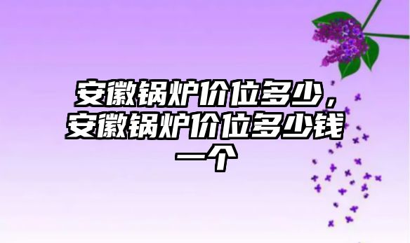 安徽鍋爐價位多少，安徽鍋爐價位多少錢一個