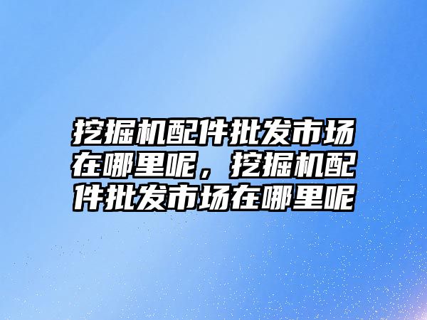 挖掘機配件批發市場在哪里呢，挖掘機配件批發市場在哪里呢