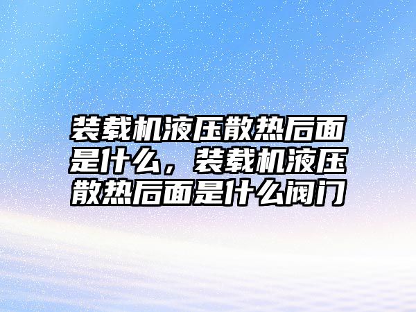 裝載機液壓散熱后面是什么，裝載機液壓散熱后面是什么閥門