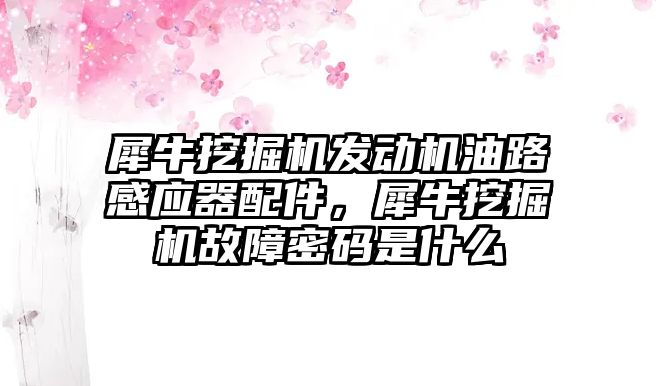 犀牛挖掘機發動機油路感應器配件，犀牛挖掘機故障密碼是什么