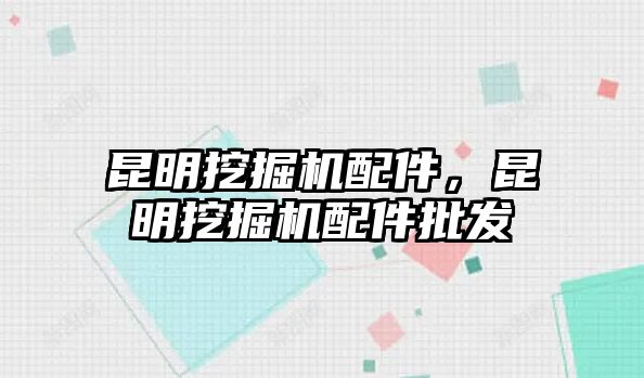 昆明挖掘機配件，昆明挖掘機配件批發