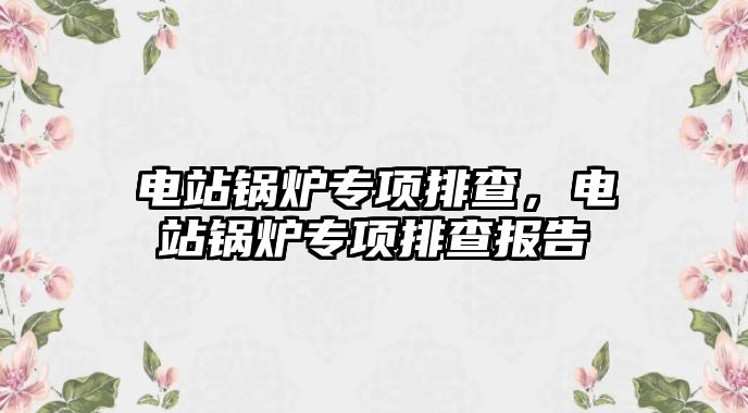 電站鍋爐專項排查，電站鍋爐專項排查報告