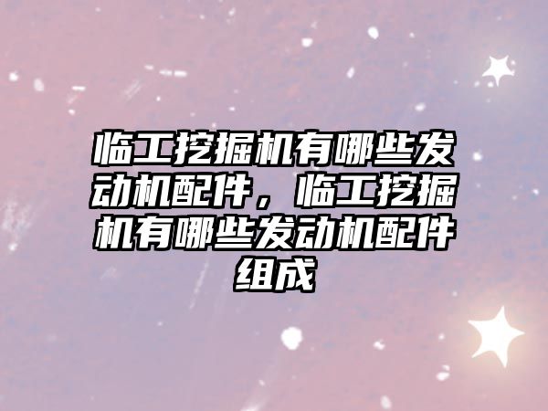 臨工挖掘機有哪些發(fā)動機配件，臨工挖掘機有哪些發(fā)動機配件組成