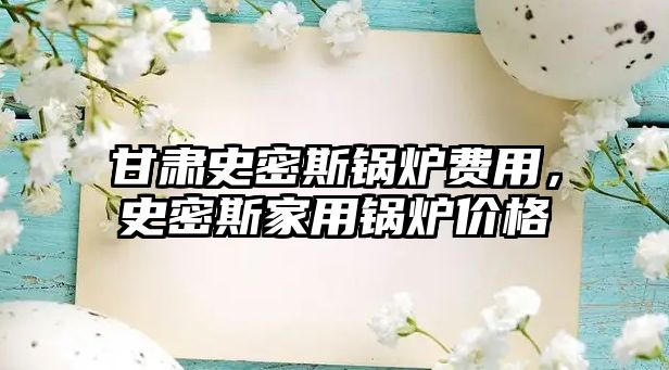 甘肅史密斯鍋爐費用，史密斯家用鍋爐價格