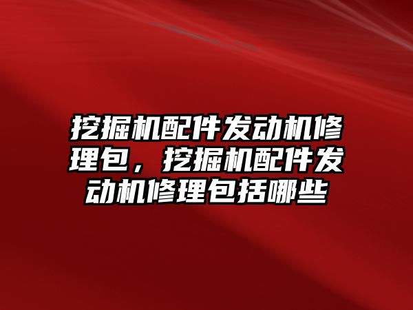 挖掘機配件發動機修理包，挖掘機配件發動機修理包括哪些