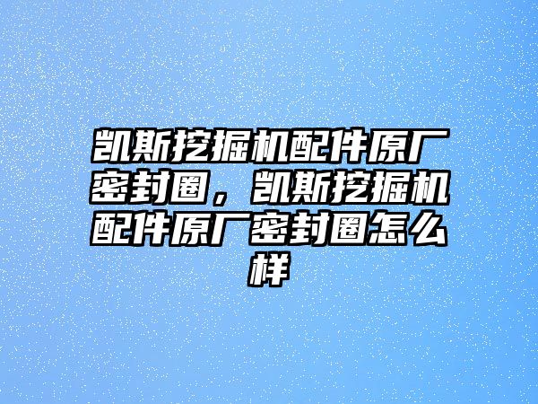 凱斯挖掘機(jī)配件原廠密封圈，凱斯挖掘機(jī)配件原廠密封圈怎么樣