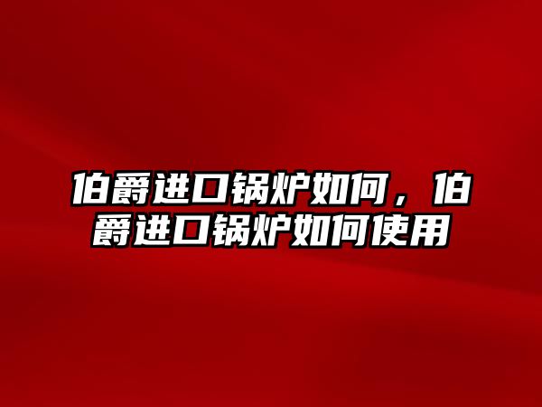 伯爵進(jìn)口鍋爐如何，伯爵進(jìn)口鍋爐如何使用