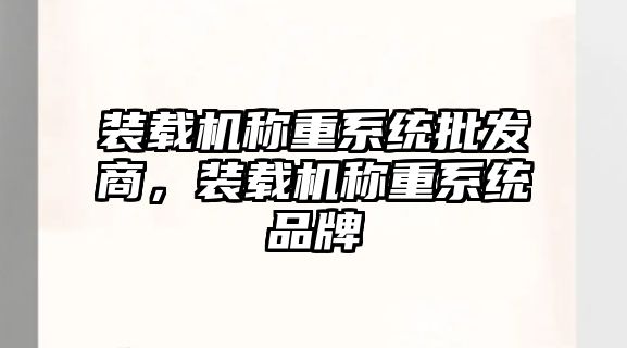 裝載機稱重系統批發商，裝載機稱重系統品牌