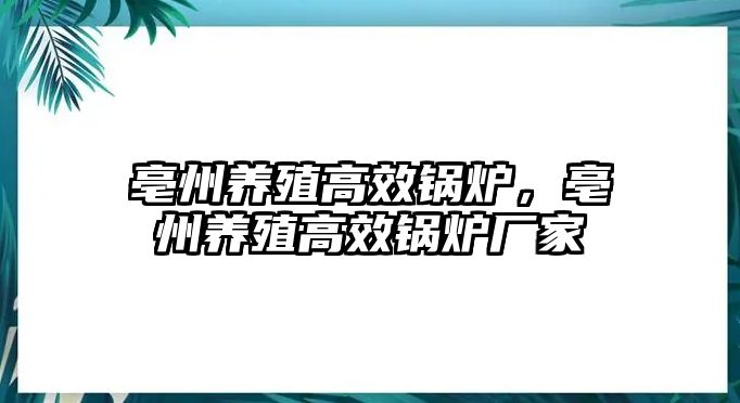 亳州養(yǎng)殖高效鍋爐，亳州養(yǎng)殖高效鍋爐廠家