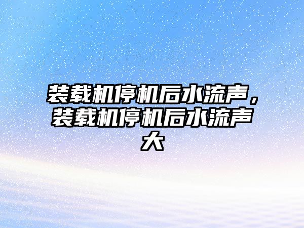 裝載機停機后水流聲，裝載機停機后水流聲大