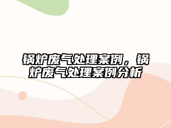 鍋爐廢氣處理案例，鍋爐廢氣處理案例分析