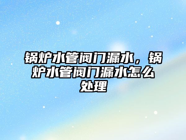 鍋爐水管閥門漏水，鍋爐水管閥門漏水怎么處理