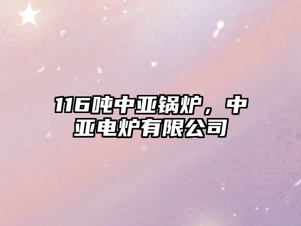 116噸中亞鍋爐，中亞電爐有限公司