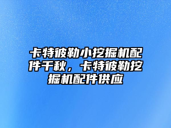 卡特彼勒小挖掘机配件千秋，卡特彼勒挖掘机配件供应