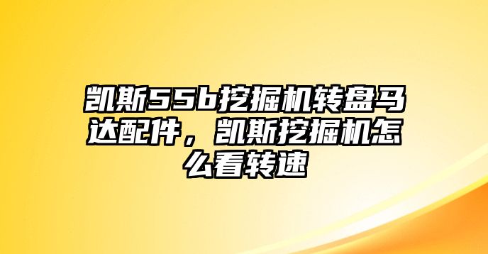 凱斯55b挖掘機轉盤馬達配件，凱斯挖掘機怎么看轉速