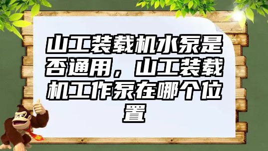 山工裝載機水泵是否通用，山工裝載機工作泵在哪個位置