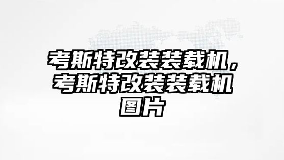 考斯特改装装载机，考斯特改装装载机图片