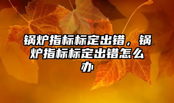 鍋爐指標標定出錯，鍋爐指標標定出錯怎么辦